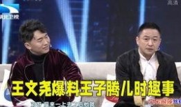 小王的爆料视频大全,揭秘娱乐圈幕后真相